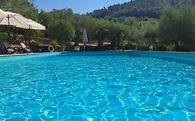 Maison De Vacances Agriturismo Poggio All'olmo À